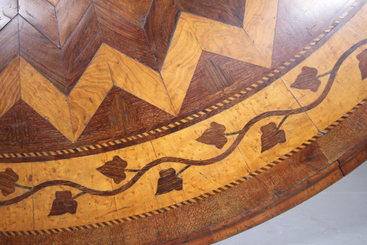 Amazing Irish 19th Century Antique Killarney Inlaid Table Top - Image 3