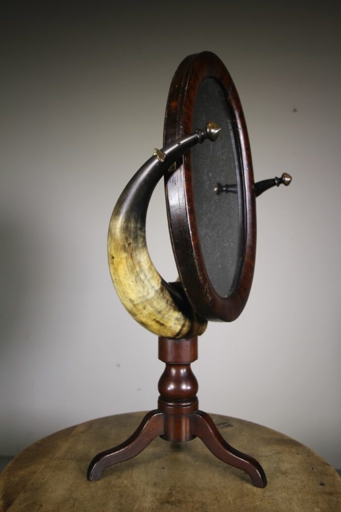 Fabulous 19th Century English Antique Mahogany & Cow Horn Oval Mirror